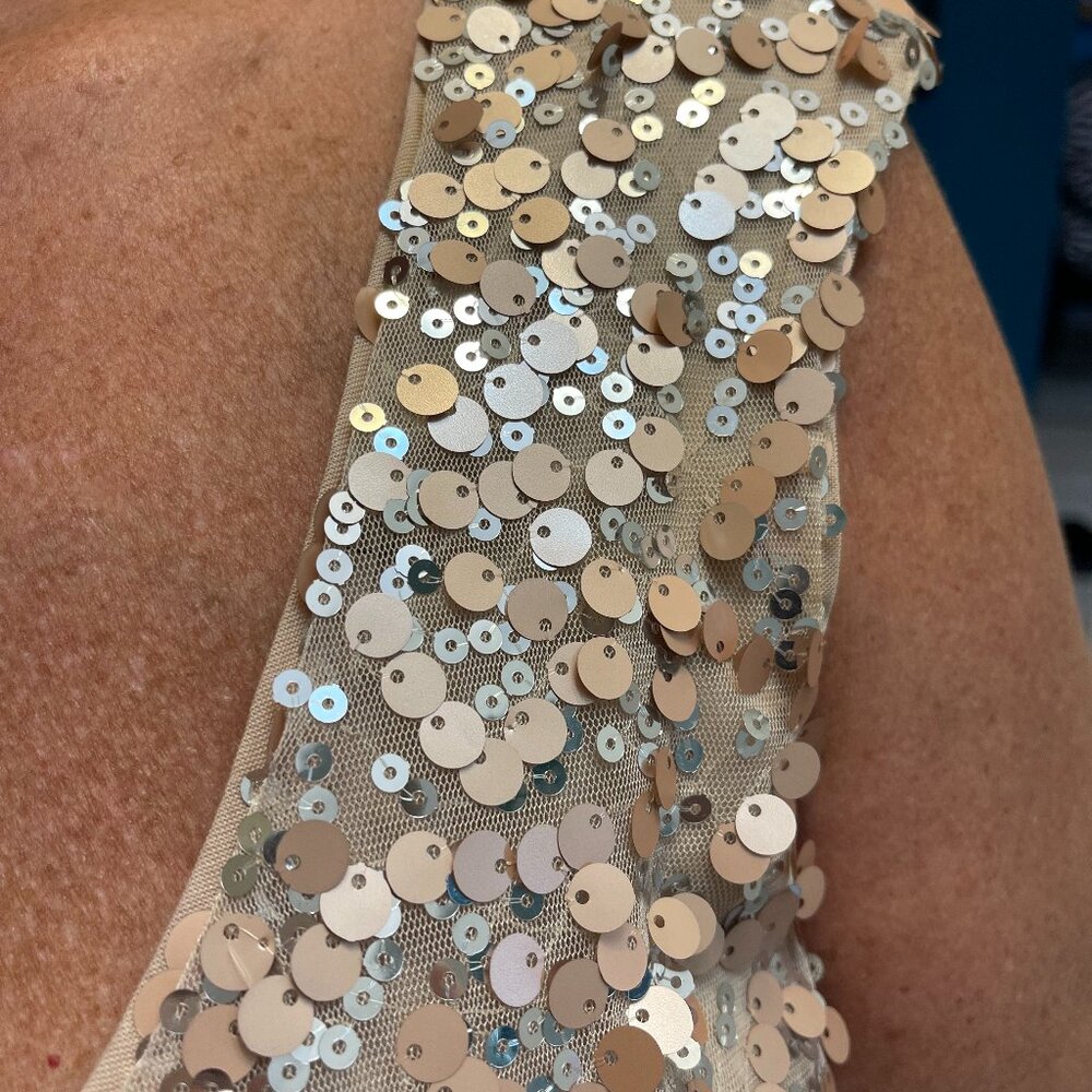 champagne Sequin Dress
